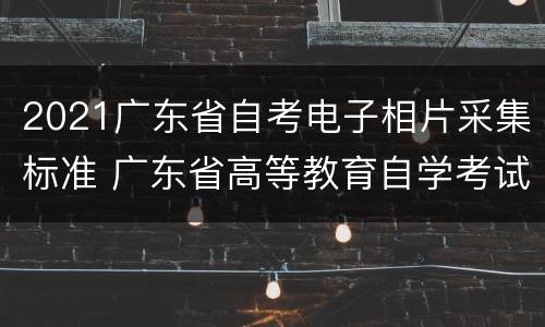 2021广东省自考电子相片采集标准 广东省高等教育自学考试电子相片采集标准