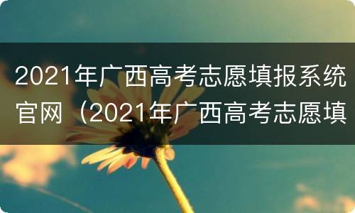 2021年广西高考志愿填报系统官网（2021年广西高考志愿填报系统官网登录）