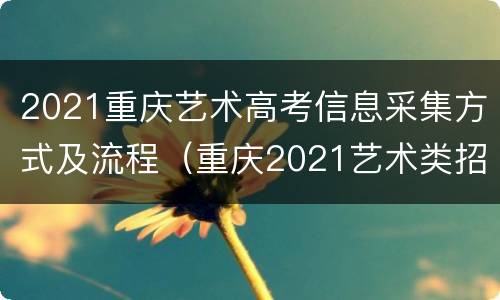 2021重庆艺术高考信息采集方式及流程（重庆2021艺术类招生信息采集）