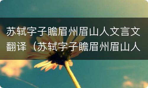 苏轼字子瞻眉州眉山人文言文翻译（苏轼字子瞻眉州眉山人文言文翻译写在本上的）