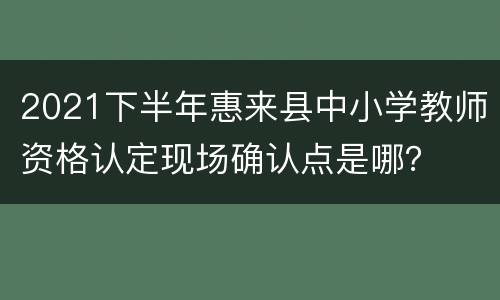 2021下半年惠来县中小学教师资格认定现场确认点是哪？
