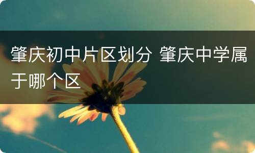 肇庆初中片区划分 肇庆中学属于哪个区