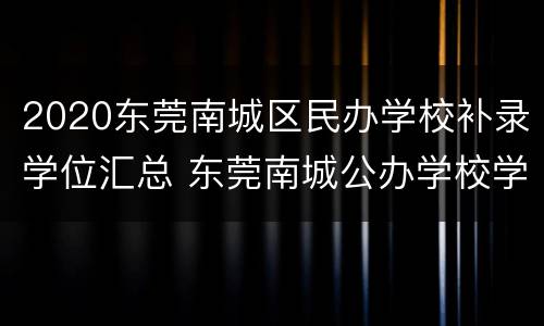 2020东莞南城区民办学校补录学位汇总 东莞南城公办学校学位分配