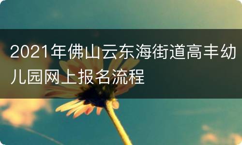 2021年佛山云东海街道高丰幼儿园网上报名流程