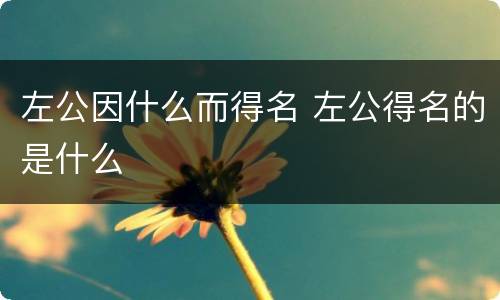 左公因什么而得名 左公得名的是什么