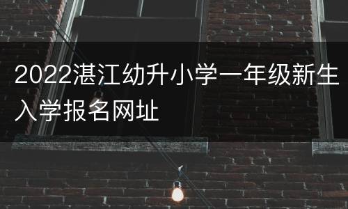 2022湛江幼升小学一年级新生入学报名网址