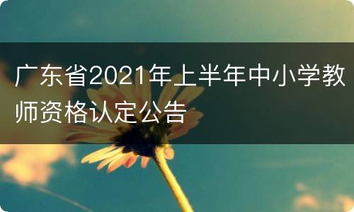 广东省2021年上半年中小学教师资格认定公告