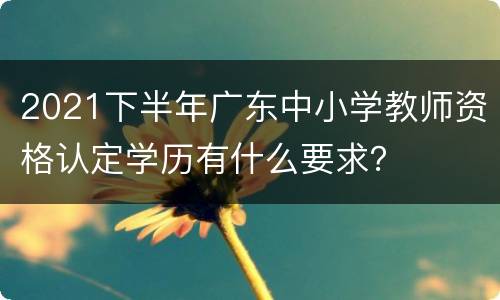 2021下半年广东中小学教师资格认定学历有什么要求？