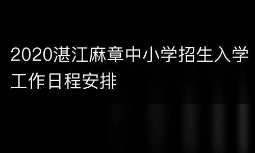 2020湛江麻章中小学招生入学工作日程安排