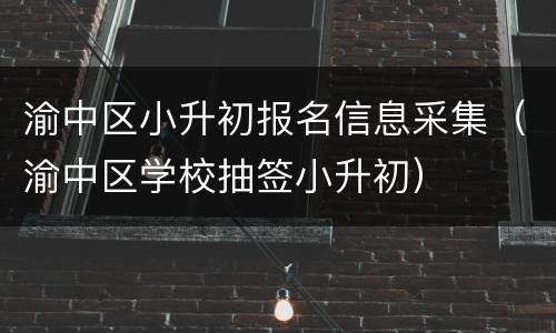 渝中区小升初报名信息采集（渝中区学校抽签小升初）