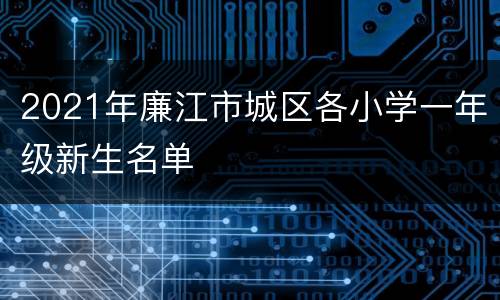 2021年廉江市城区各小学一年级新生名单
