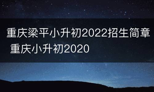 重庆梁平小升初2022招生简章 重庆小升初2020