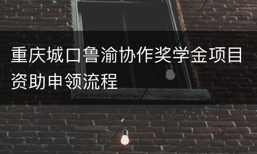 重庆城口鲁渝协作奖学金项目资助申领流程