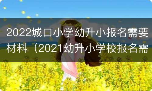 2022城口小学幼升小报名需要材料（2021幼升小学校报名需要什么材料）