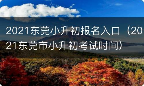 2021东莞小升初报名入口（2021东莞市小升初考试时间）