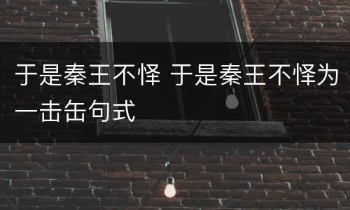 于是秦王不怿 于是秦王不怿为一击缶句式