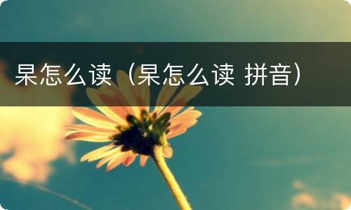 杲怎么读（杲怎么读 拼音）