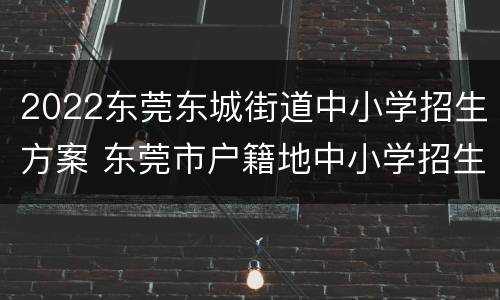 2022东莞东城街道中小学招生方案 东莞市户籍地中小学招生入学方案