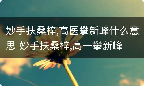 妙手扶桑梓,高医攀新峰什么意思 妙手扶桑梓,高一攀新峰