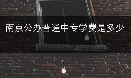 南京公办普通中专学费是多少