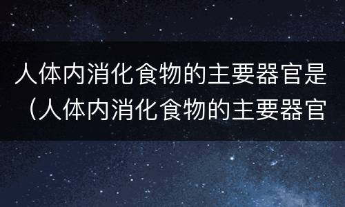 人体内消化食物的主要器官是（人体内消化食物的主要器官是哪些）