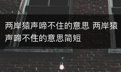 两岸猿声啼不住的意思 两岸猿声啼不住的意思简短