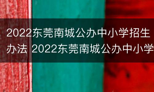 2022东莞南城公办中小学招生办法 2022东莞南城公办中小学招生办法电话