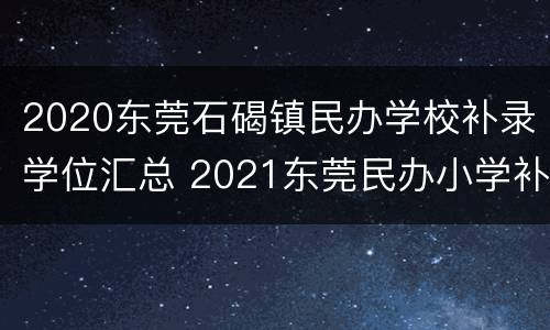 2020东莞石碣镇民办学校补录学位汇总 2021东莞民办小学补录