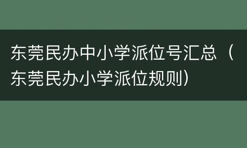 东莞民办中小学派位号汇总（东莞民办小学派位规则）