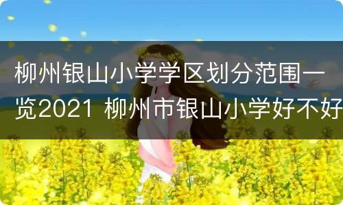 柳州银山小学学区划分范围一览2021 柳州市银山小学好不好