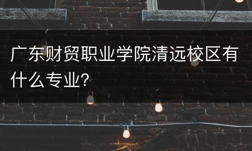 广东财贸职业学院清远校区有什么专业？