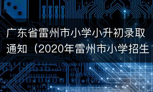 广东省雷州市小学小升初录取通知（2020年雷州市小学招生）