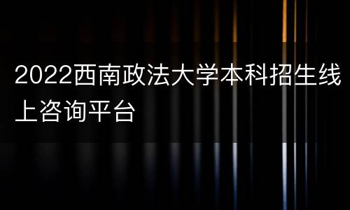 2022西南政法大学本科招生线上咨询平台