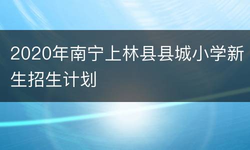 2020年南宁上林县县城小学新生招生计划