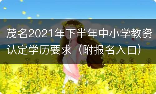 茂名2021年下半年中小学教资认定学历要求（附报名入口）