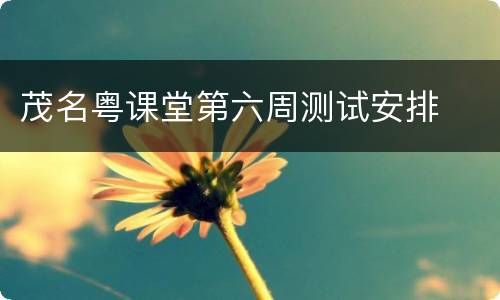 茂名粤课堂第六周测试安排