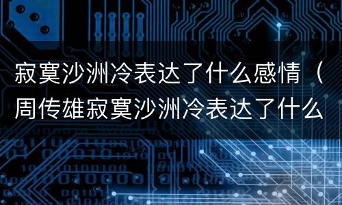 寂寞沙洲冷表达了什么感情（周传雄寂寞沙洲冷表达了什么感情）