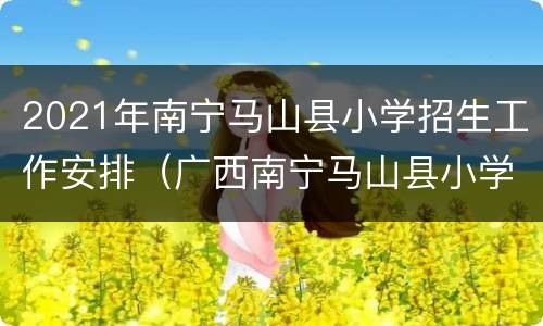 2021年南宁马山县小学招生工作安排（广西南宁马山县小学）