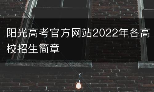 阳光高考官方网站2022年各高校招生简章