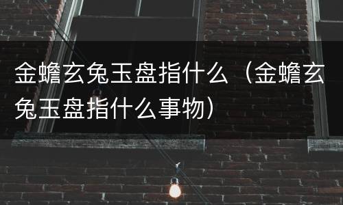 金蟾玄兔玉盘指什么（金蟾玄兔玉盘指什么事物）