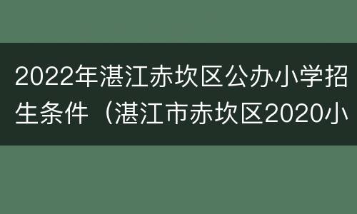 2022年湛江赤坎区公办小学招生条件（湛江市赤坎区2020小学招生）