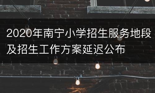 2020年南宁小学招生服务地段及招生工作方案延迟公布