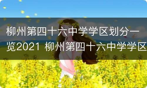 柳州第四十六中学学区划分一览2021 柳州第四十六中学学区划分一览2021年