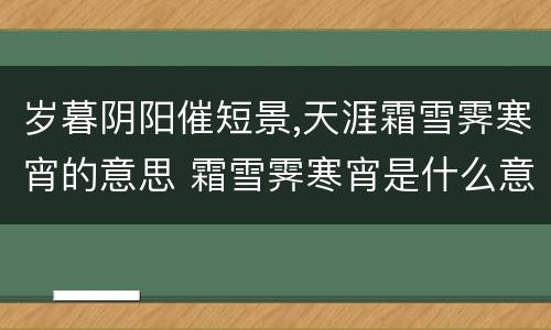 岁暮阴阳催短景,天涯霜雪霁寒宵的意思 霜雪霁寒宵是什么意思