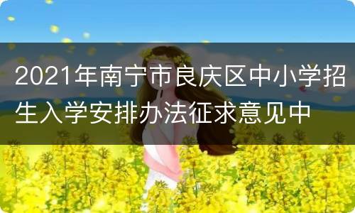 2021年南宁市良庆区中小学招生入学安排办法征求意见中
