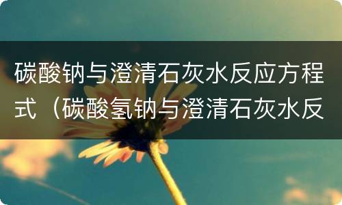 碳酸钠与澄清石灰水反应方程式（碳酸氢钠与澄清石灰水反应方程式）