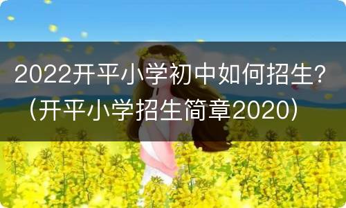 2022开平小学初中如何招生？（开平小学招生简章2020）