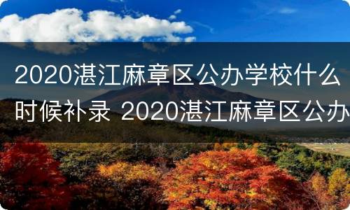2020湛江麻章区公办学校什么时候补录 2020湛江麻章区公办学校什么时候补录