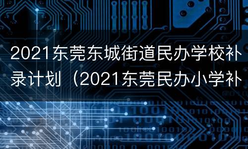 2021东莞东城街道民办学校补录计划（2021东莞民办小学补录）