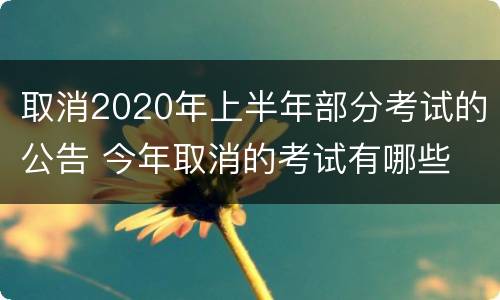 取消2020年上半年部分考试的公告 今年取消的考试有哪些